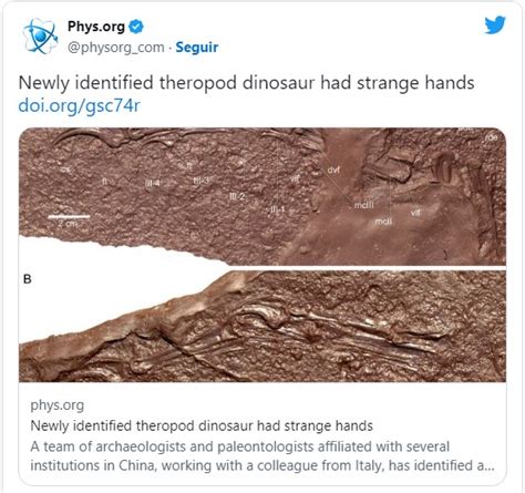crearon un dinosaurio en china